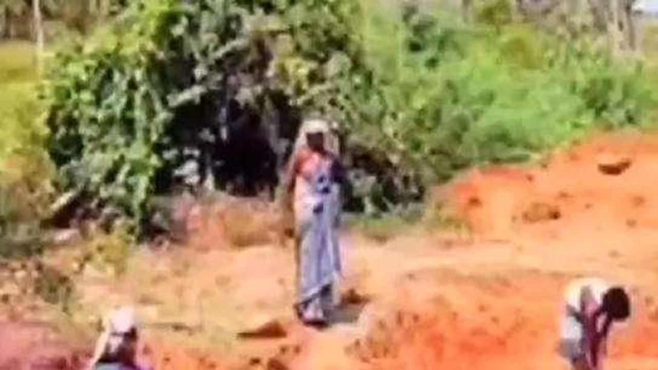 लखनऊ: नामी कंपनियों को गांव में मिलेगी रियायती जमीन, सरकार ने बनाया नया प्लान