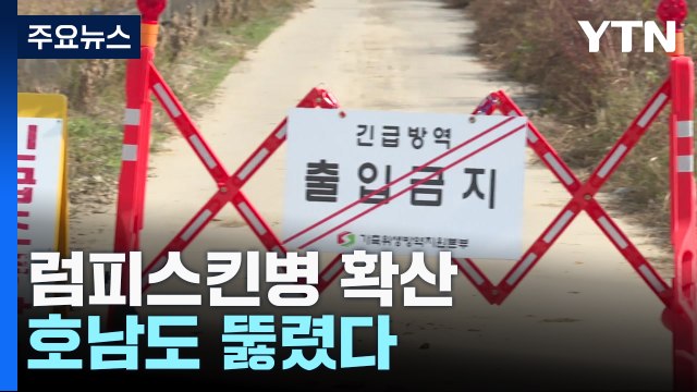 럼피스킨 병 확산 전국 비상...호남도 뚫렸다 / YTN