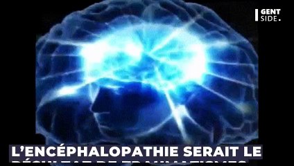 Une étude alarmante révèle que le risque de maladie cérébrale augmente chaque année où vous jouez au rugby