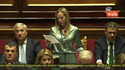 Meloni: "Governo pu? contare su fiducia dei cittadini, fatevene una ragione"