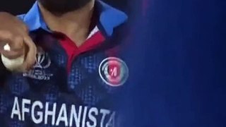 CRICKET Video 2 Ball need 10 Runs again Rashid Khan