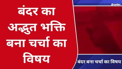दुर्गा माँ के दरबार में "बजरंगी" की एंट्री, पहले जोड़े हाथ फिर चखा प्रसाद