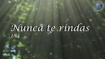 184.  NUNCA TE RINDAS - Red ADvenir Himnos