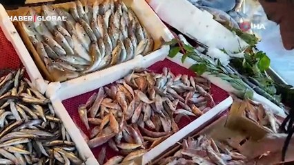 Tezgahlarda hamsi bolluğu! Kilosu 50 liradan alıcı buluyor: "Lezzetli ve yağlı durumda"