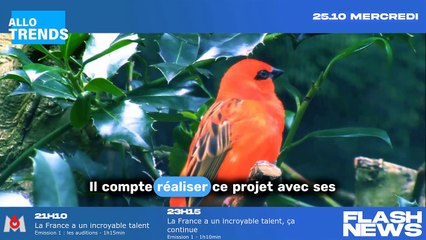 Bastos crée sa propre émission de télé-réalité inspirée d'un programme Netflix.