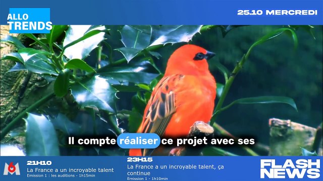 Bastos crée sa propre émission de télé-réalité inspirée d'un programme Netflix.