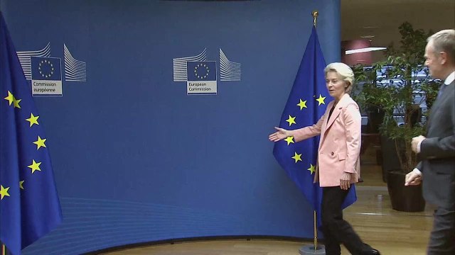 Tusk: Anti-europäische Stimmung ist nur saisonale Turbulenz
