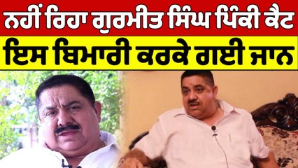 ਨਹੀਂ ਰਿਹਾ ਗੁਰਮੀਤ ਸਿੰਘ ਪਿੰਕੀ ਕੈਟ, ਇਸ ਬਿਮਾਰੀ ਕਰਕੇ ਗਈ ਜਾਨ |OneIndia Punjabi