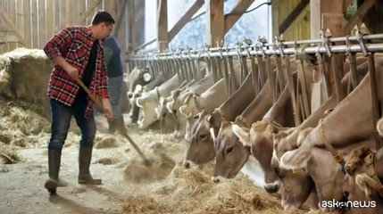 Sostenibilit?: nuove metriche per rivedere impatto zootecnia in Europa