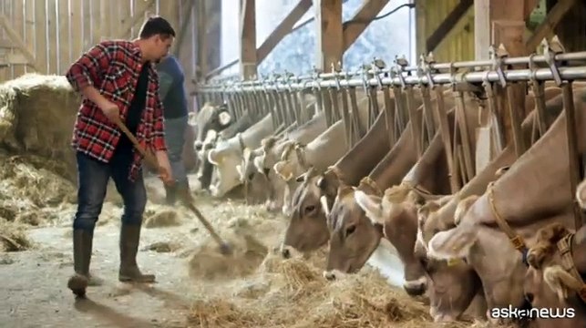 Sostenibilit?: nuove metriche per rivedere impatto zootecnia in Europa