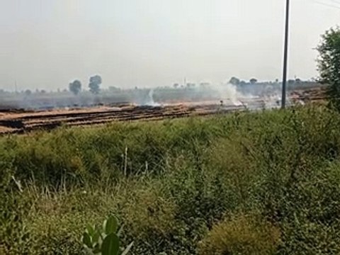 खेतों में पराली जलाने से उठता धुआं परेशानी का कारण बना-video