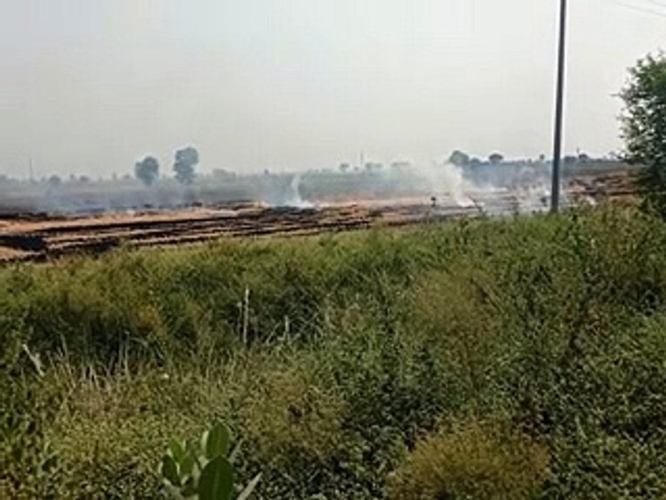 खेतों में पराली जलाने से उठता धुआं परेशानी का क...