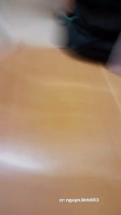 Pets Funny: New Effect Dog