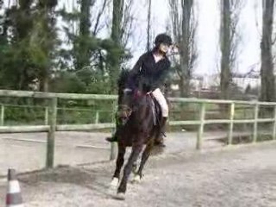 mise en selle 4