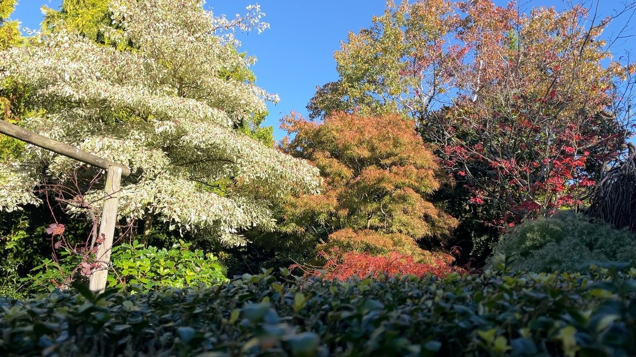 The most picturesque Autumn walks in Liverpool