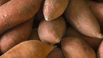 What's The Difference Between Yams And Sweet Potatoes?