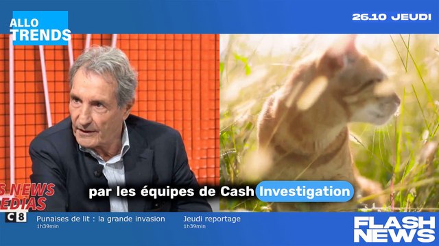 Les attaques sournoises de Jean-Jacques Bourdin envers Élise Lucet et ses méthodes d'investigation