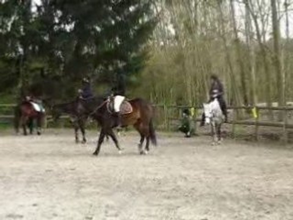 mise en selle 5