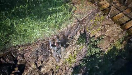 Metal Gear Solid: Snake Eater - Trailer In-engine