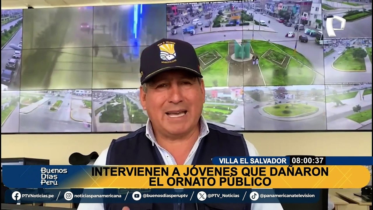 Vandalismo en VES: intervienen a jóvenes que dañaron ornato público en parque