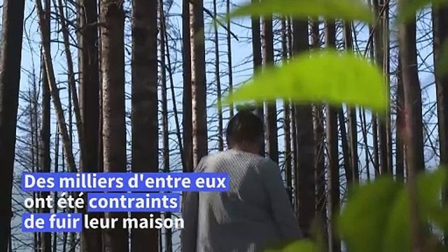 Dans les communautés autochtones du Canada, les incendies laisseront des traces