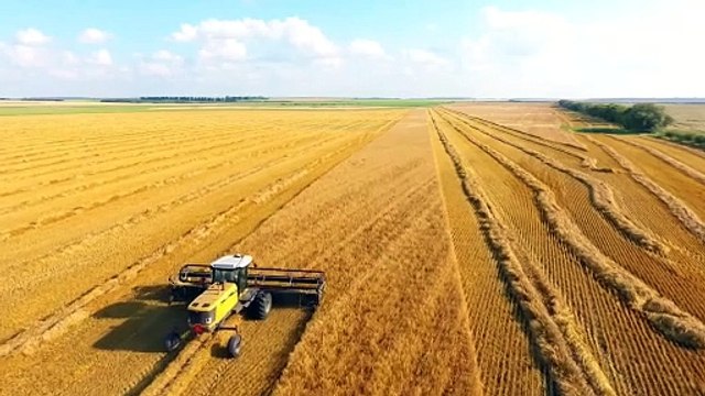 New Holland - Challenger - Gleaner R76 (Show Time - trawinseeds)