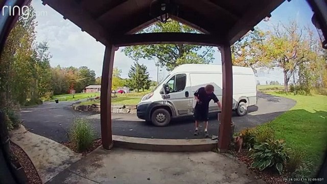 Frenchie n'aime pas les livraisons