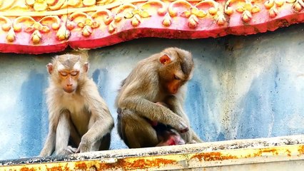 Abandoned Mother Sarika Escaping Her Newborn Baby For Peaceful Place