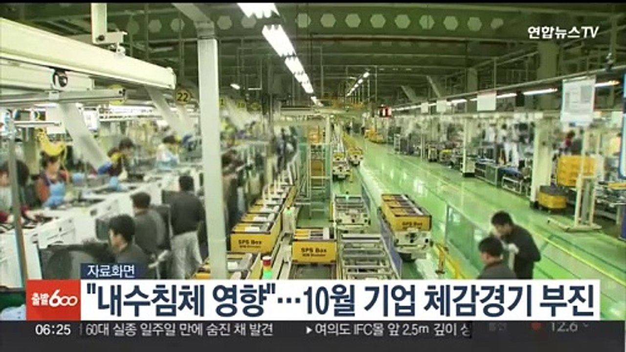 "내수침체 영향"…10월 기업 체감경기 부진
