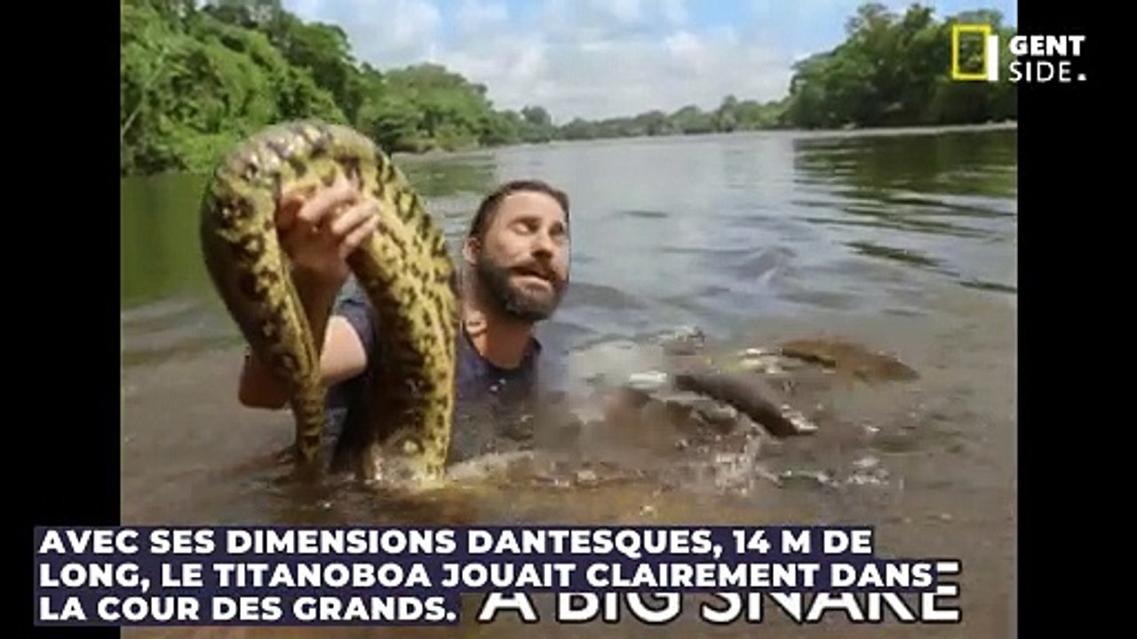Voici le plus long serpent à avoir rampé à la surface de la Terre