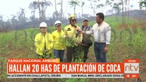 Hallan veinte hectáreas de coca en el Parque Nacional Amboró