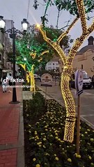 Calles del Centro de Lima sorprenden con luces navideñas