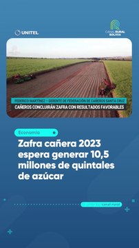 Zafra cañera 2023 espera generar 10,5 millones de quintales de azúcar