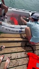 Rescuing a Vulture at Sea