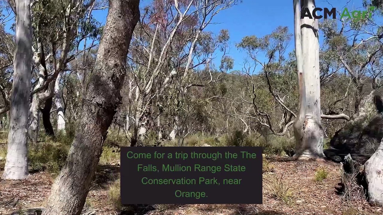 The Falls in the Mullion Range State Conservati...