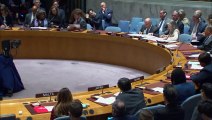 Consejo de Seguridad rechaza dos nuevas resoluciones sobre conflicto israelo-palestino