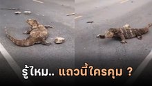 ดุดันไม่เกรงใจใคร ถนนนี้ใครคุม ดูได้จากคลิปนี้...