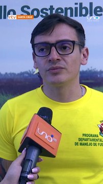 Bomberos hallan animales carbonizados por los incendios