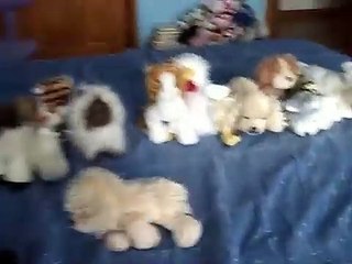 licorice34 - webkinz school 3