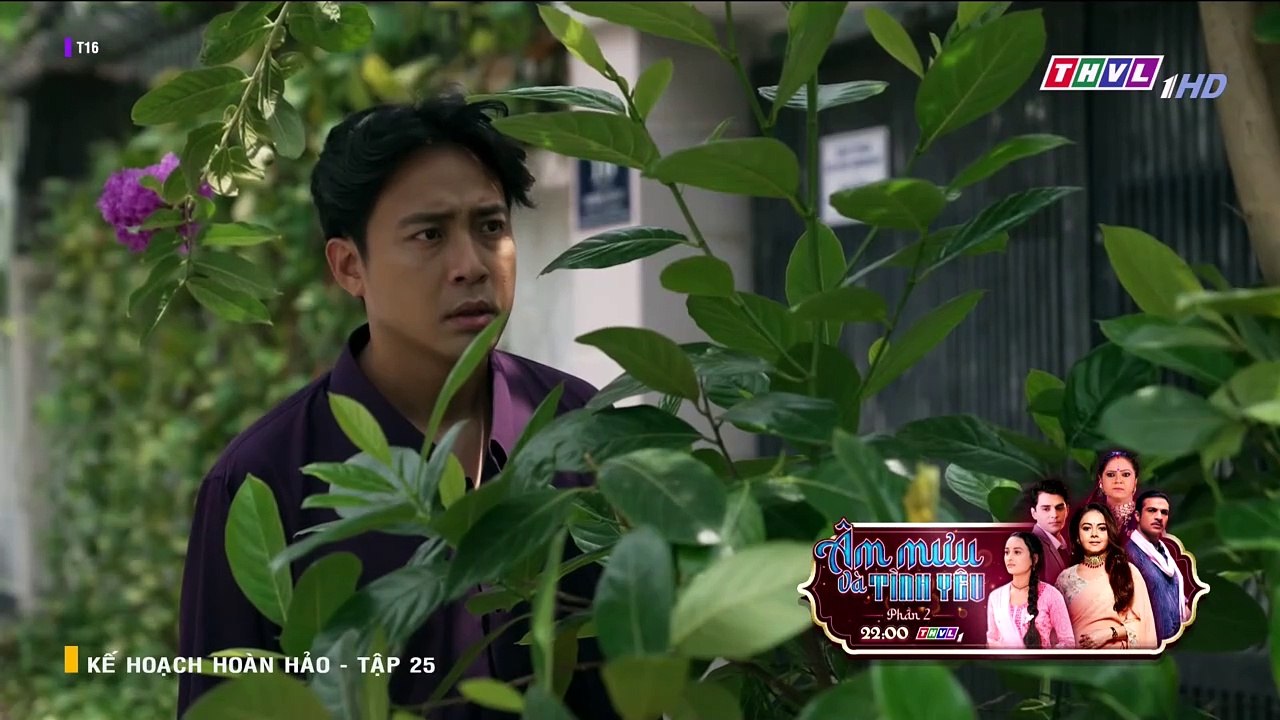 Film - Kế Hoạch Hoàn Hảo Tập 25 - Phim Việt Nam
