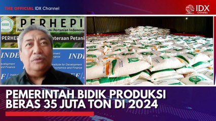 Pemerintah Bidik Produksi Beras 35 Juta Ton di 2024