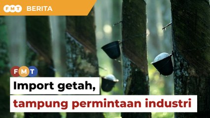 Import getah demi tampung permintaan industri, kata Fadillah