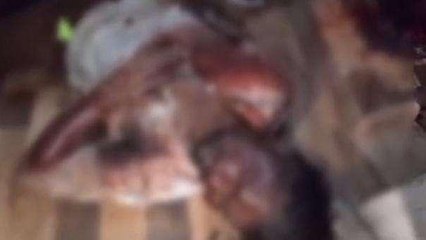 दोस्तों के साथ पार्टी फिर बंद कमरे में मिली खून से सनी लाश, लोग पहुंचे तो..