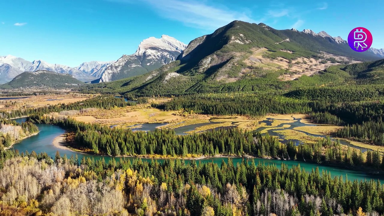 Piano Music for Anxiety Relief - Sheet Notes for Mental Health