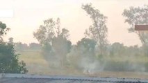 लखीमपुर खीरी: खेतों में धड़ल्ले से जलाई जा रही पराली,वीडियो वायरल
