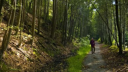 टनल (पुरस्कार विजेता लघु फिल्म)