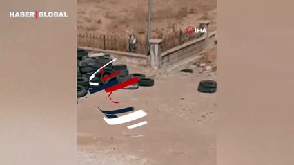 Şanlıurfa'da ilk kez görüldü! Heyecanlandıran o anları kaydetti