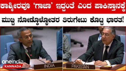 ಕಾಶ್ಮೀರವೂ ಗಾಜಾ' ಇದ್ದಂತೆ ಎಂದ ಪಾಕಿಸ್ತಾನಕ್ಕೆ ಭಾರತ ತಿರುಗೇಟು