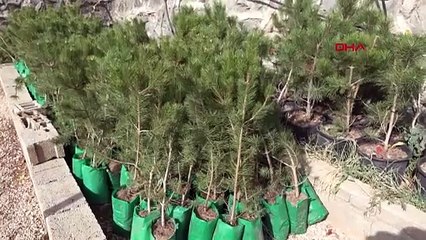 Aksaray'da kaybolan bebek Asel'in adı ormana verilecek