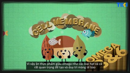 Cách bạn chọn thức ăn sẽ tác động đến não bộ như thế nào?